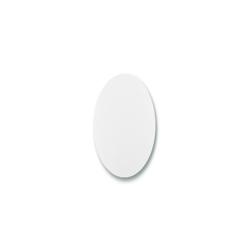 BASE_CIRCULAR_20_DARNEL_BRANCA_UN_DARNEL